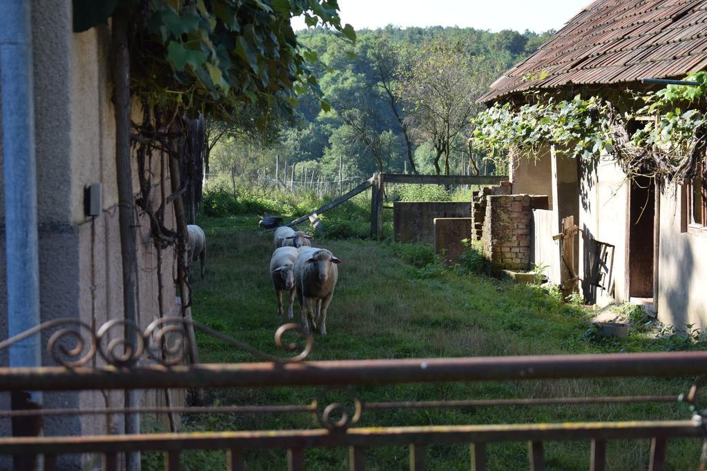 Hébergement de vacances Hétmérföldes Szaknyér